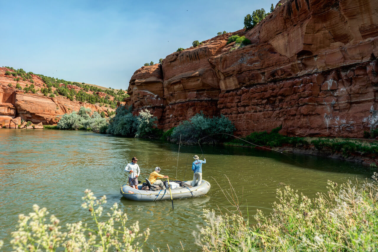 Fishing Charters in Whakatane, New Zealand Outguided
